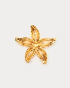 Frances Valentine Gold Starfish Brooch> Jewelry